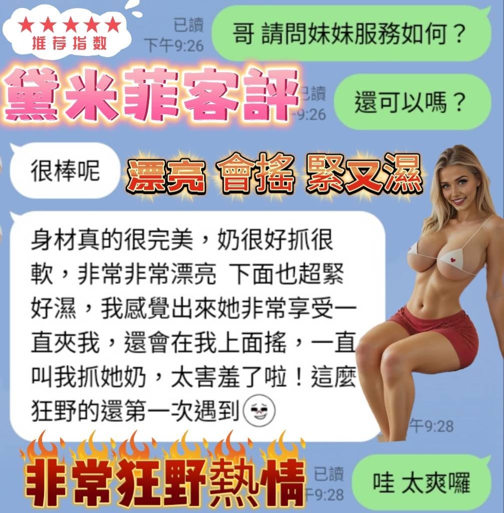 金絲貓新竹黛米菲定點圖片