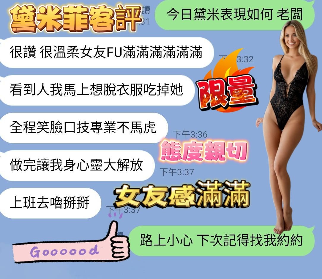 金絲貓新竹黛米菲定點圖片