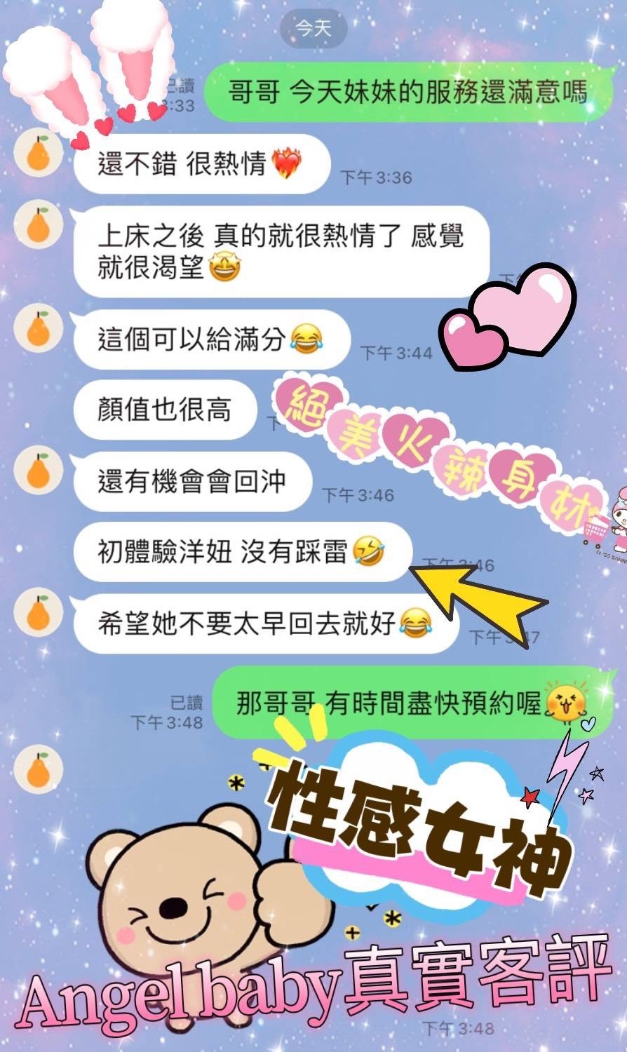 金絲貓桃園Anglebaby定點圖片