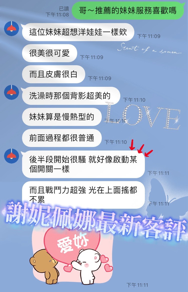 金絲貓桃園謝妮佩娜定點圖片
