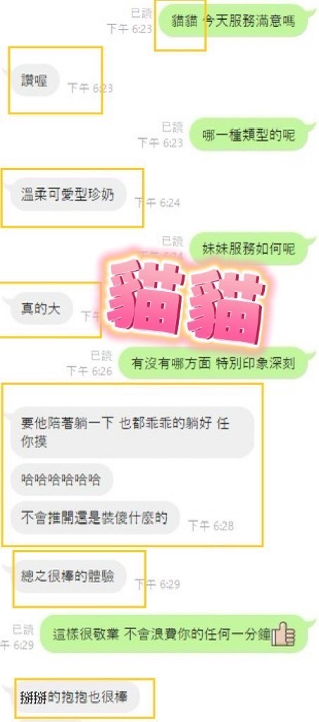 馬來西亞彰化貓貓定點圖片