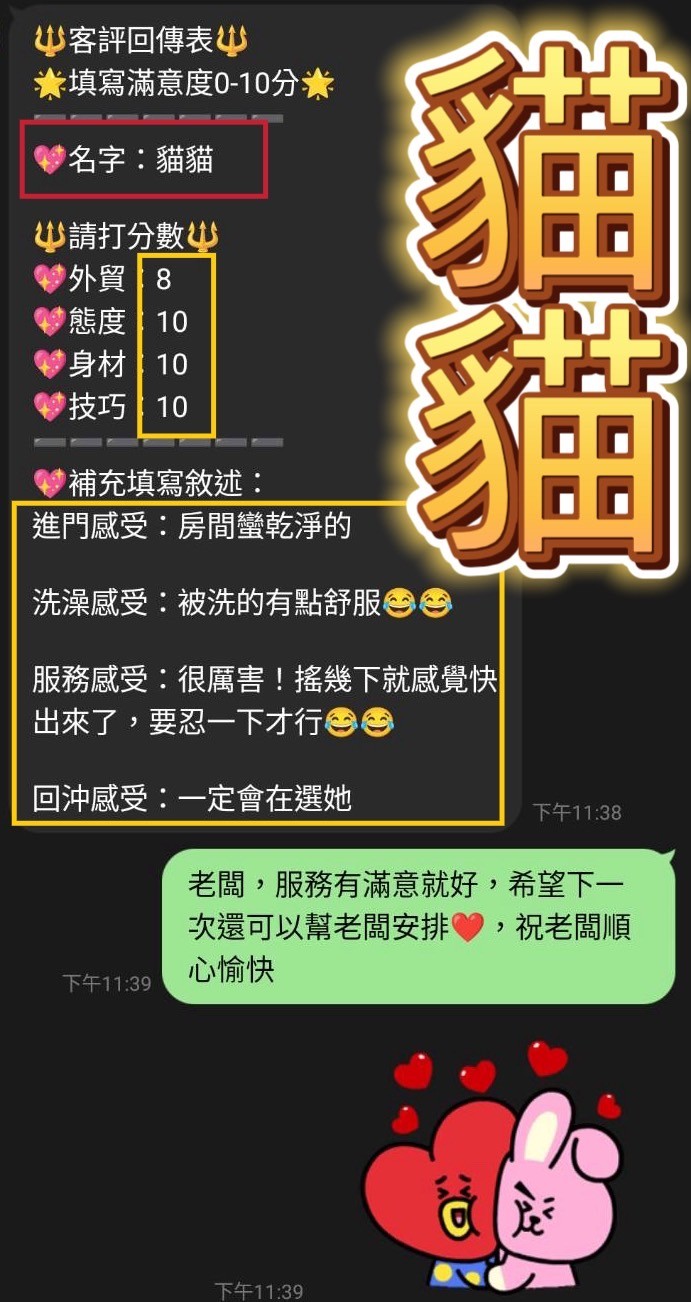馬來西亞彰化貓貓定點圖片