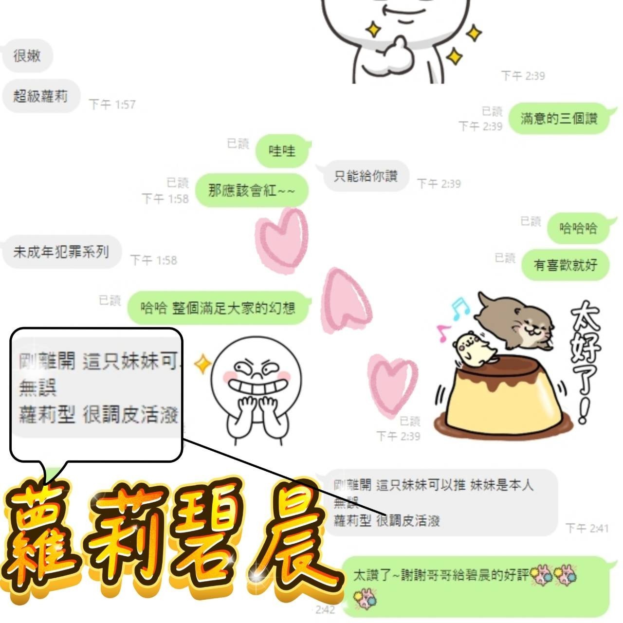馬來西亞高雄碧晨定點圖片