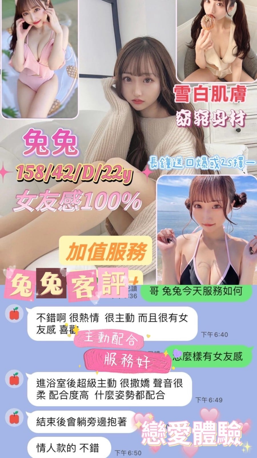 越南台南兔兔定點圖片
