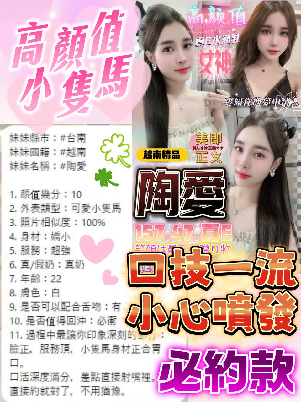 越南台南陶愛定點圖片