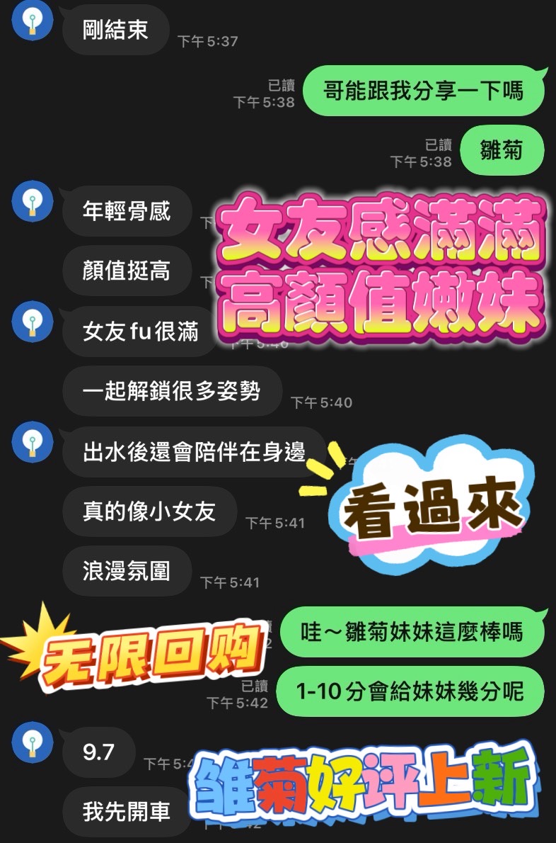 馬來西亞台中雛菊定點圖片