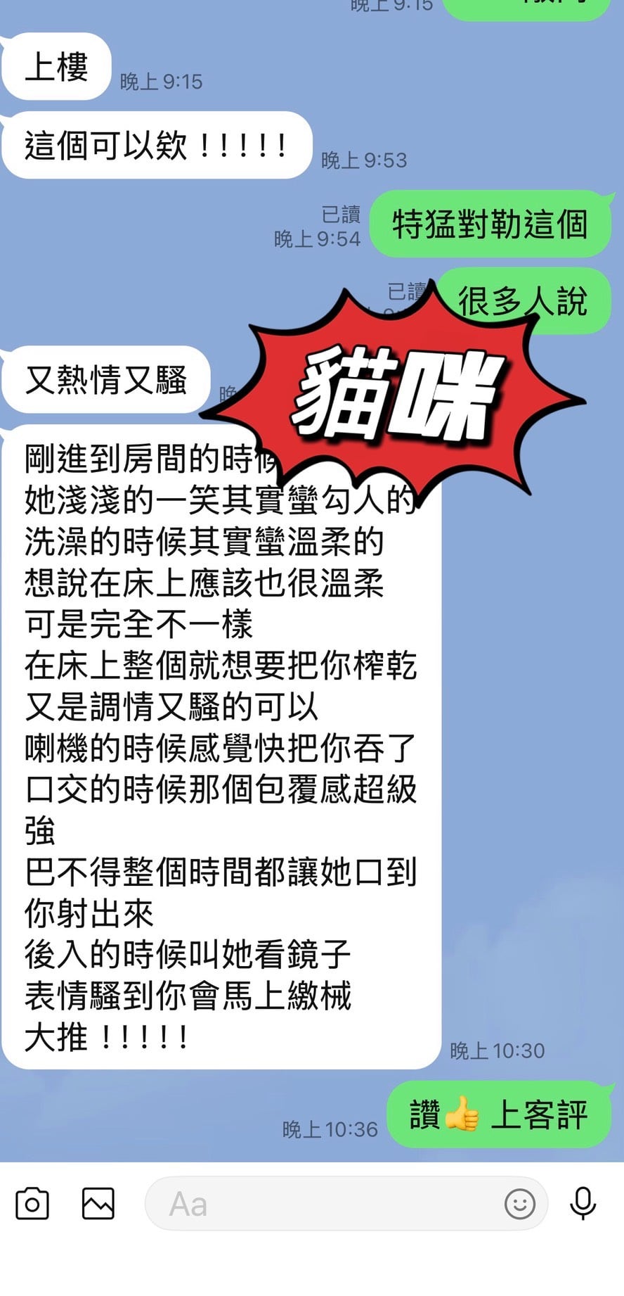 馬來西亞台東貓咪定點圖片