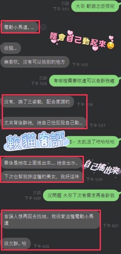 馬來西亞彰化軟貓定點圖片