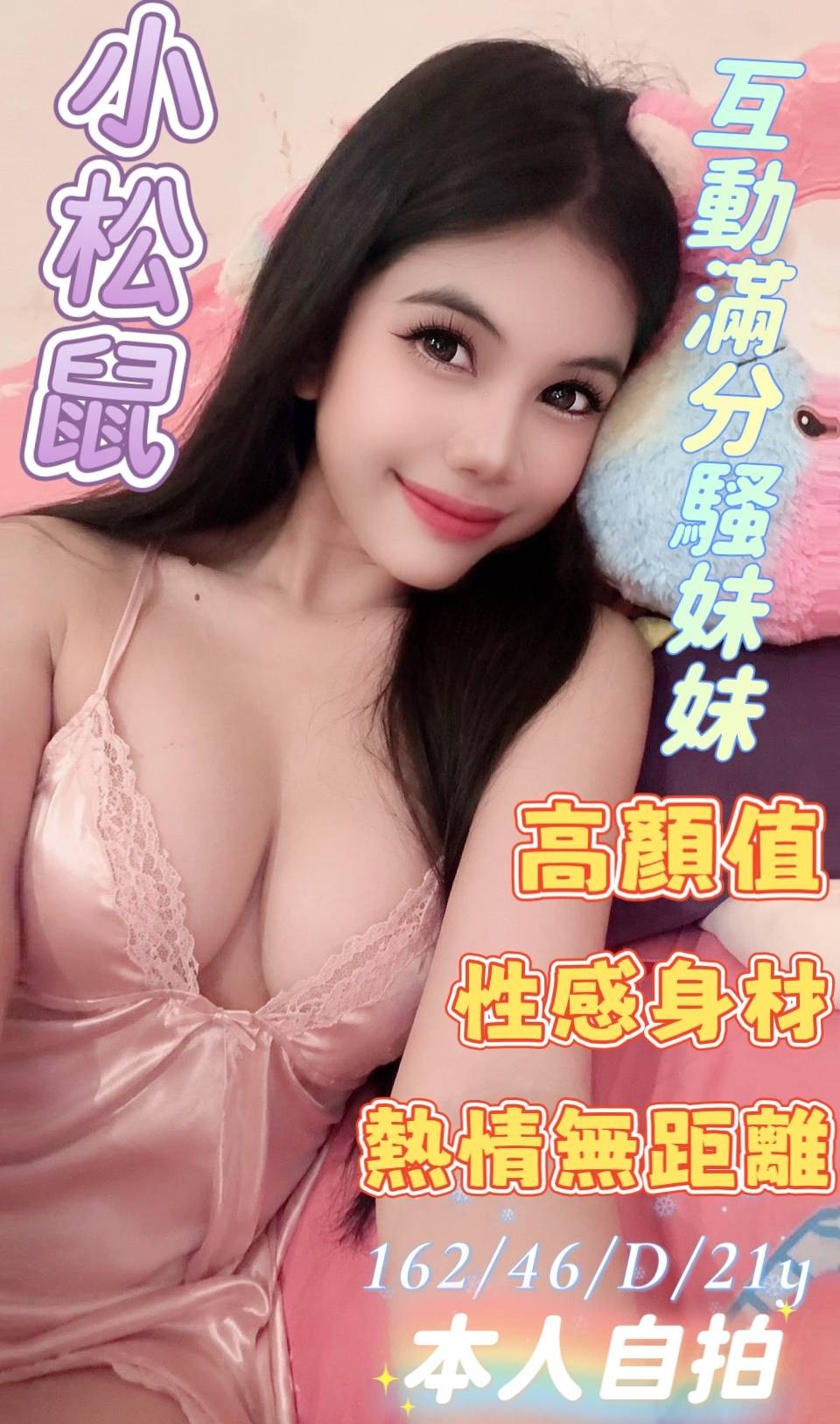 馬來西亞雲林小松鼠定點圖片
