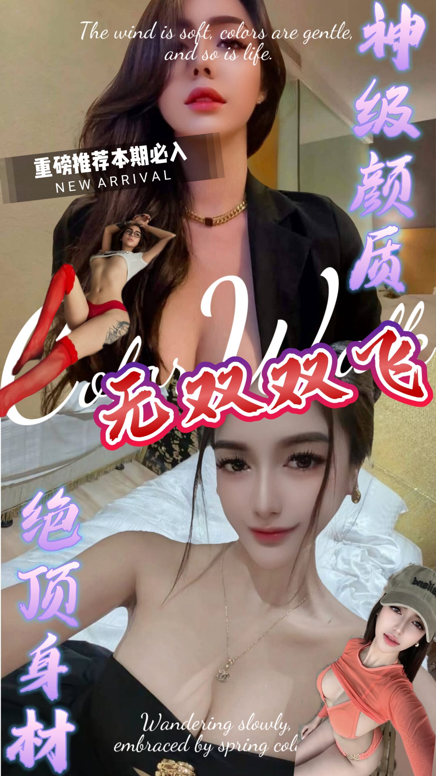 其他國家台中安妮定點圖片