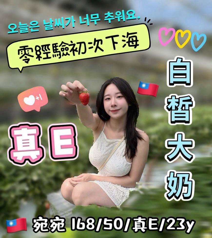 台灣台中宋智雅外送圖片