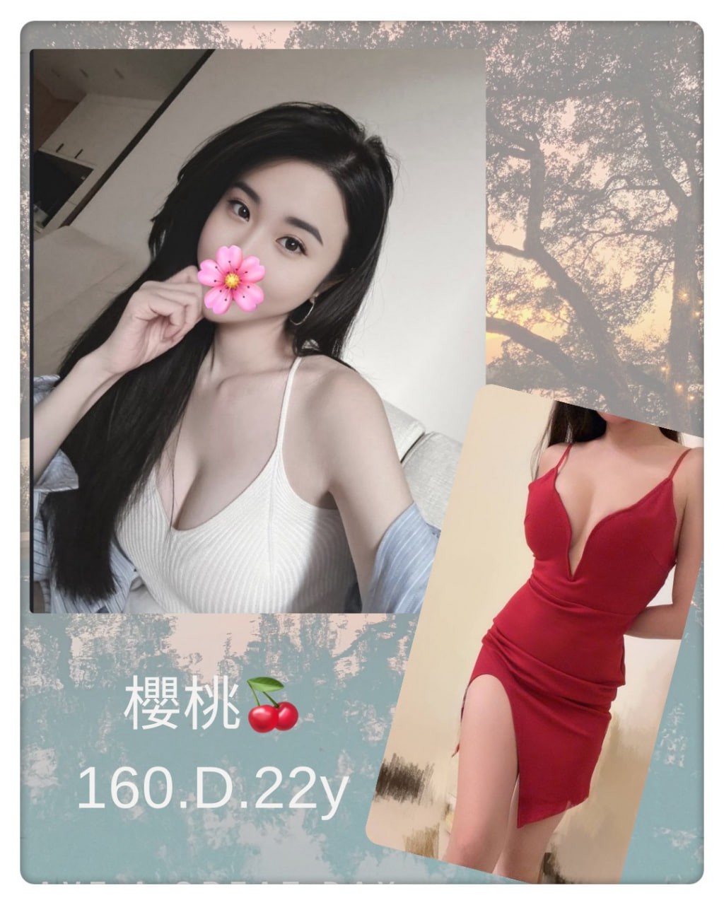 台灣台北櫻桃外送圖片