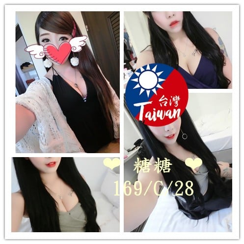 台灣台北糖糖定點圖片