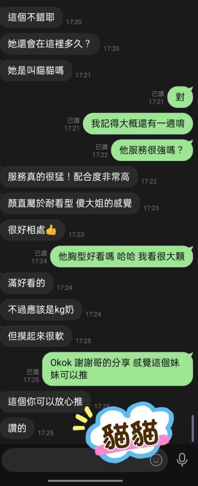 台灣台北貓貓定點圖片