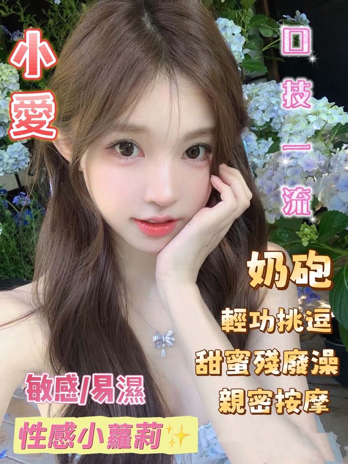 台灣嘉義小愛定點圖片