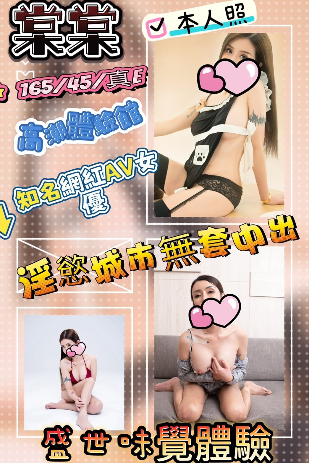 台灣新竹棠棠定點圖片