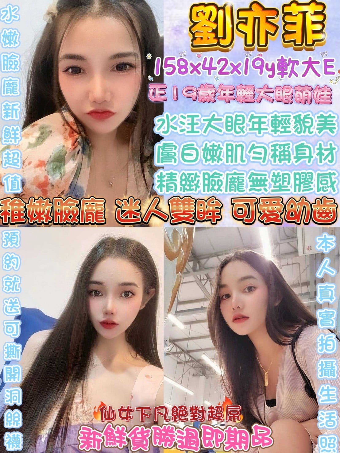 泰國台中劉亦菲定點圖片