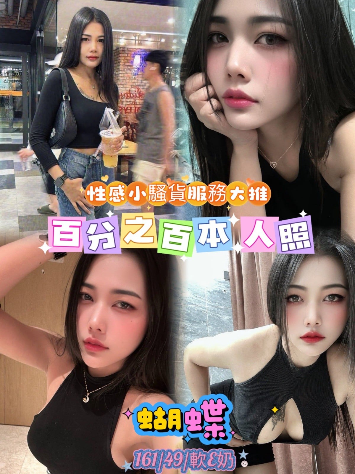泰國台北蝴蝶定點圖片