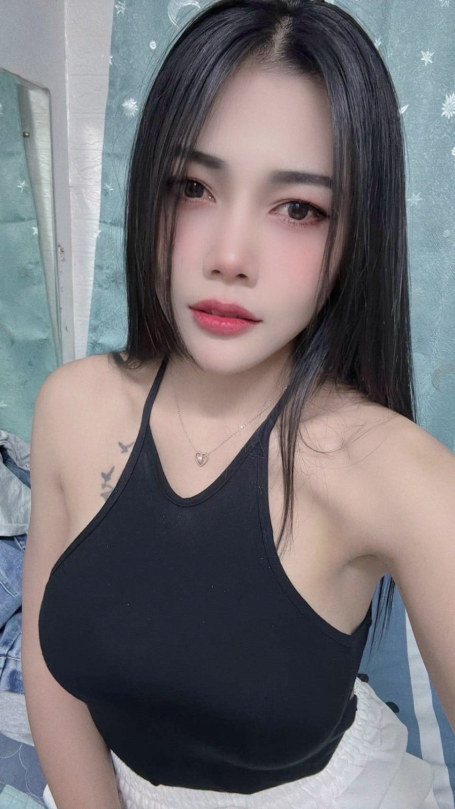 泰國台北蝴蝶定點圖片
