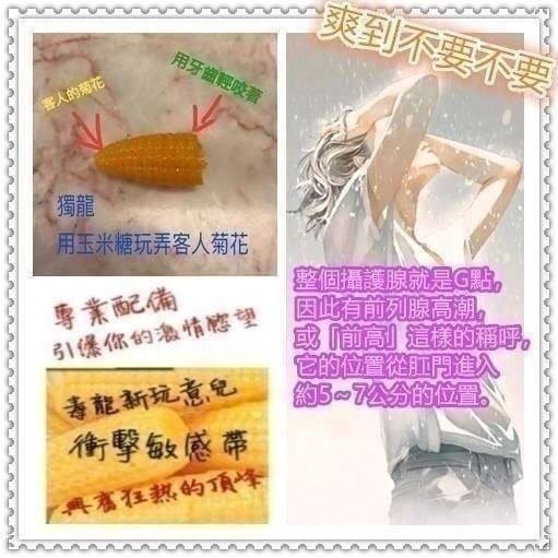 泰國彰化愛麗絲定點圖片