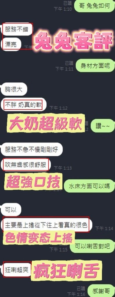 泰國新竹兔兔定點圖片