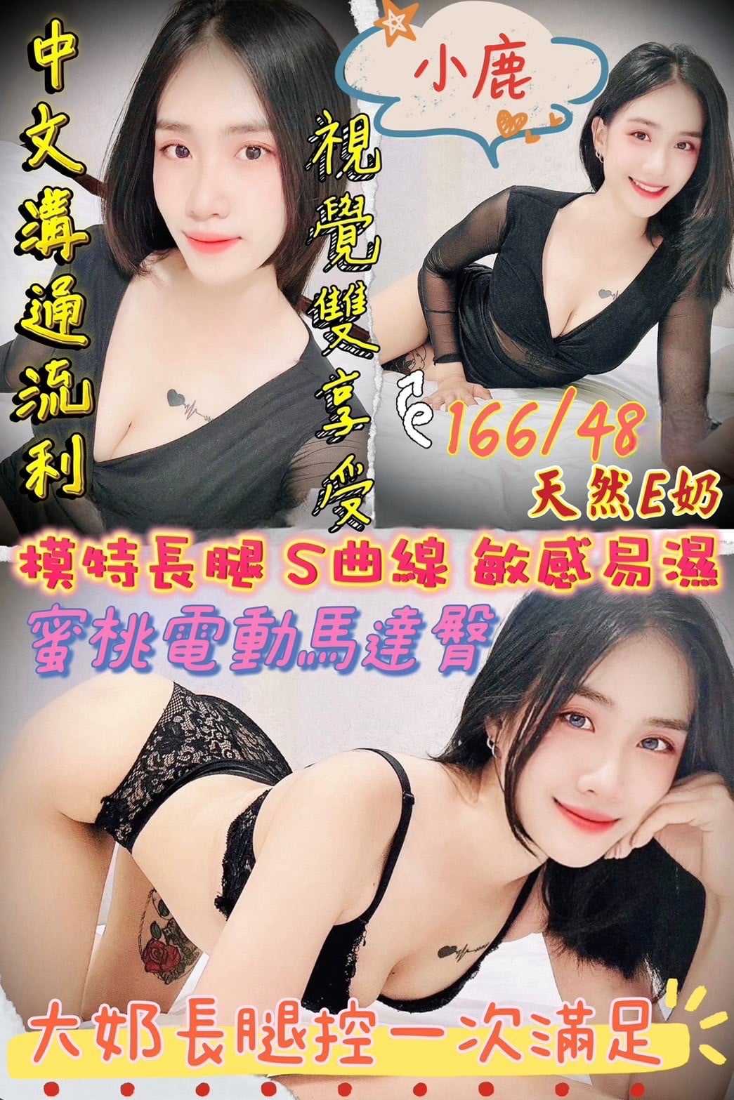 泰國新竹小鹿定點圖片