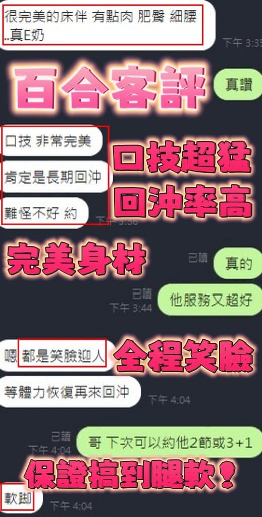 泰國新竹百合定點圖片