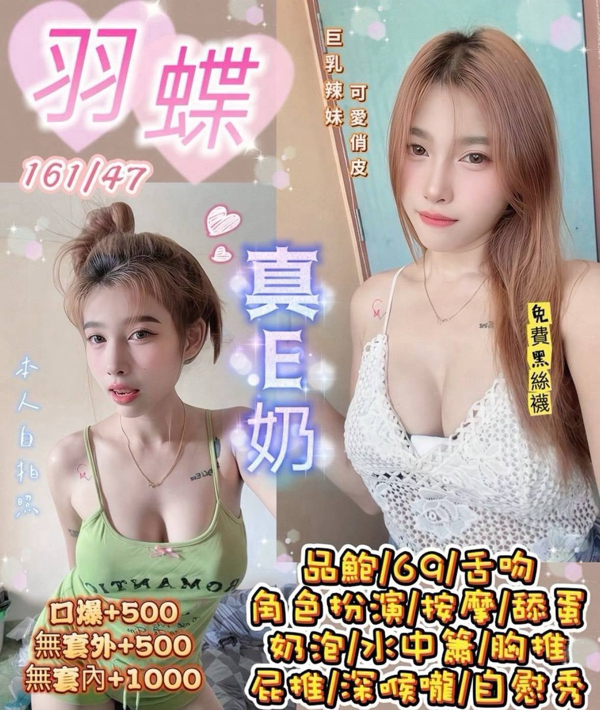 泰國桃園羽蝶定點圖片