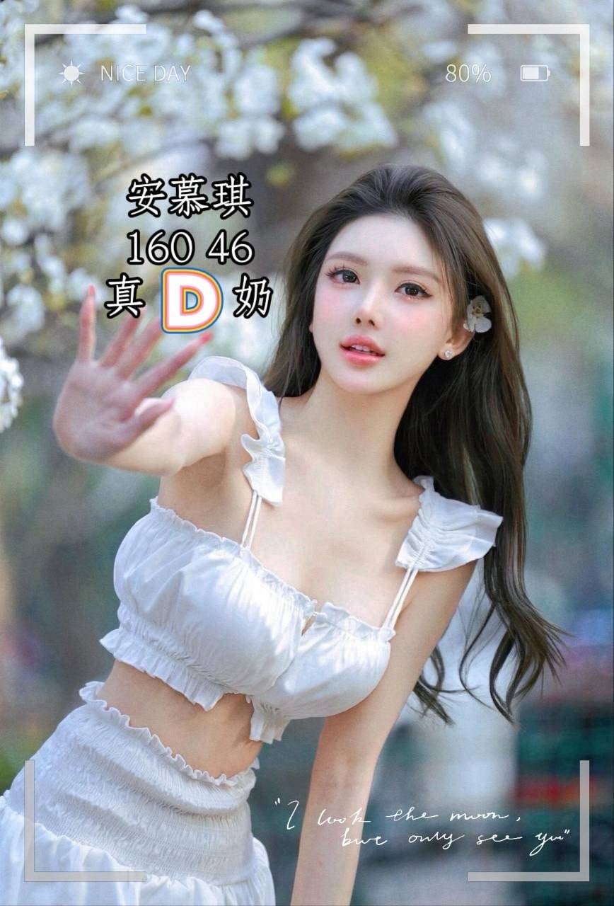 越南台中安慕琪定點圖片