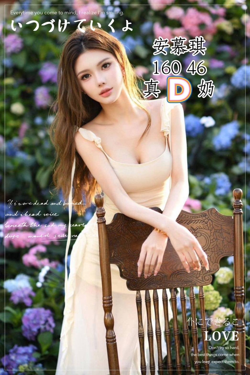 越南台中安慕琪定點圖片