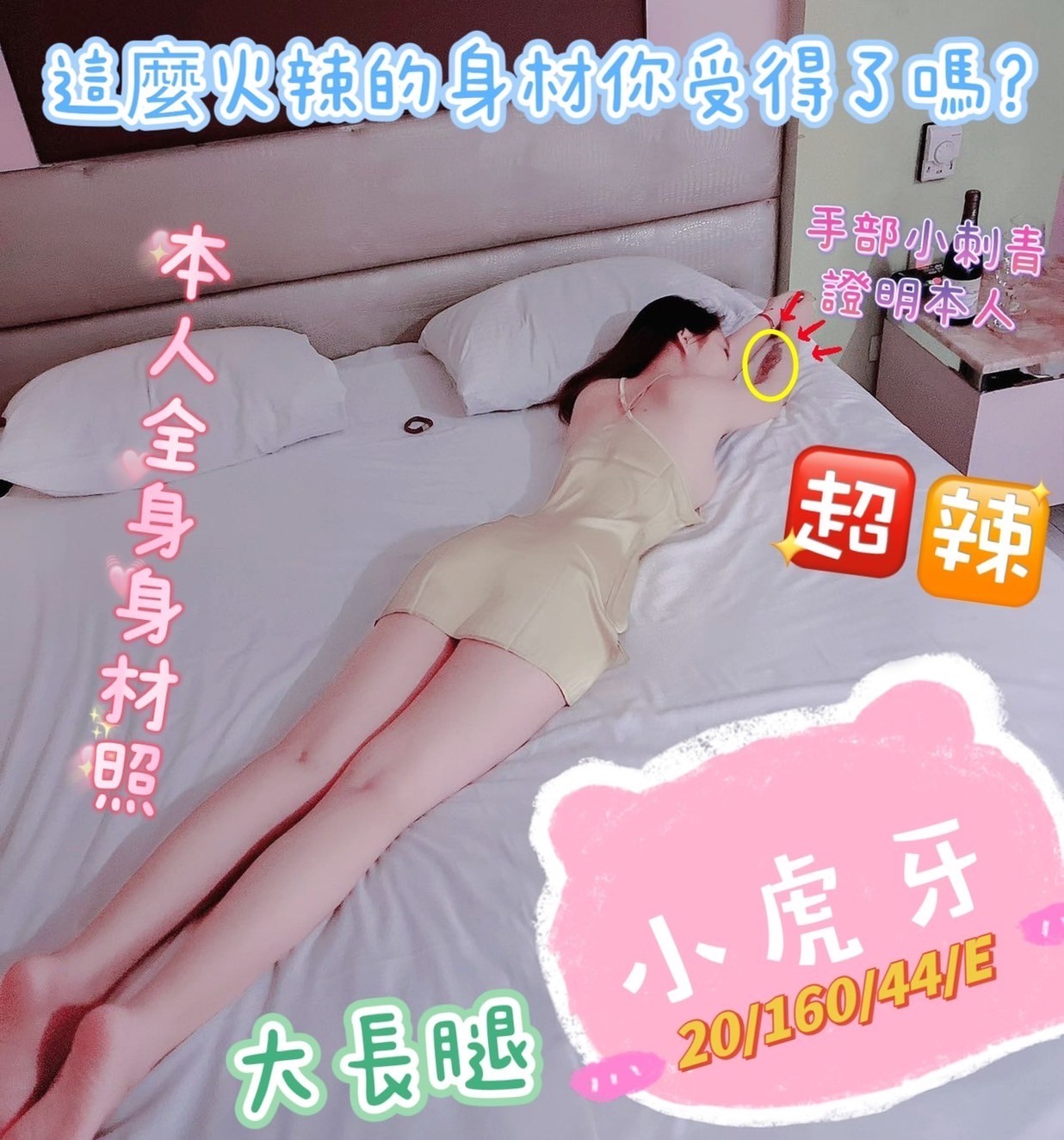 越南台中小虎牙定點圖片
