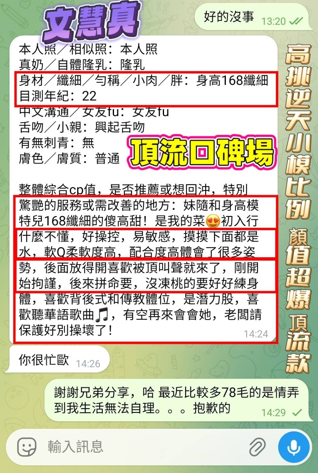 越南台中文慧真定點圖片