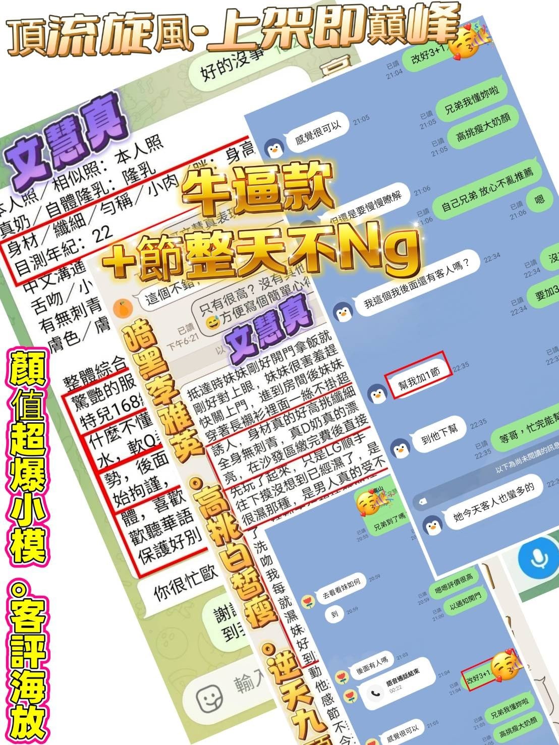 越南台中文慧真定點圖片