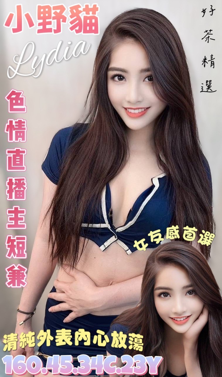 越南台南小野貓定點圖片