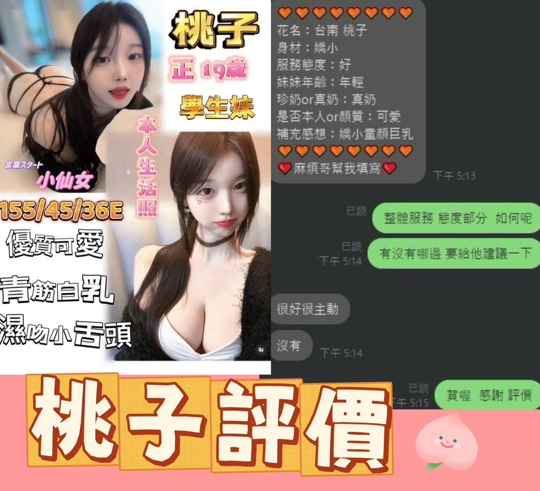 越南台南桃子定點圖片