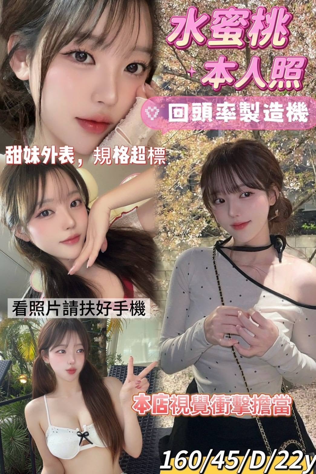 越南台南水蜜桃定點圖片