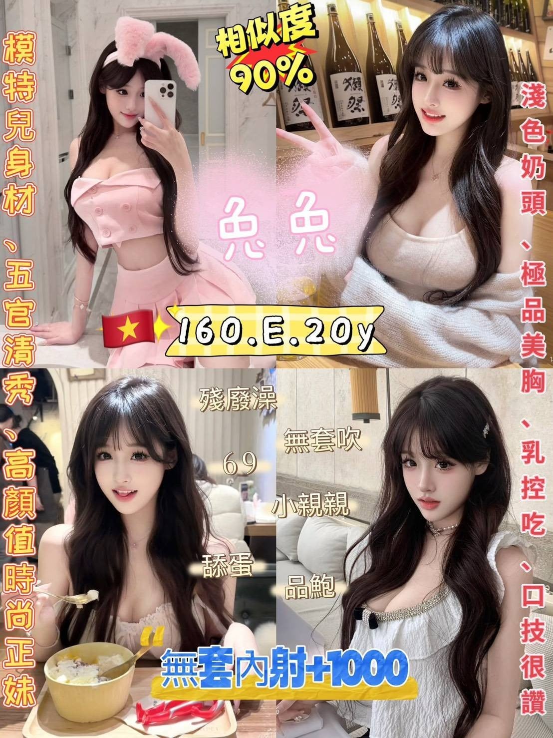 越南新北兔兔定點圖片