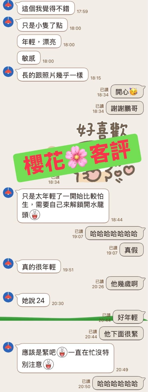 越南新北櫻花定點圖片