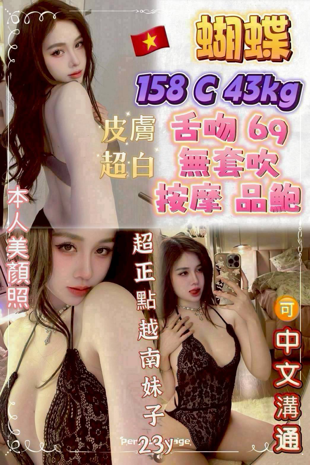 越南新北蝴蝶定點圖片
