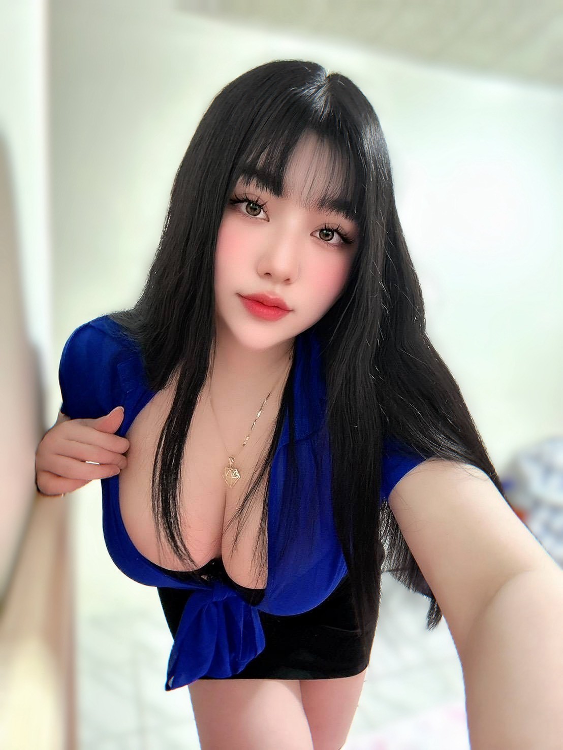 越南新竹乳香定點圖片