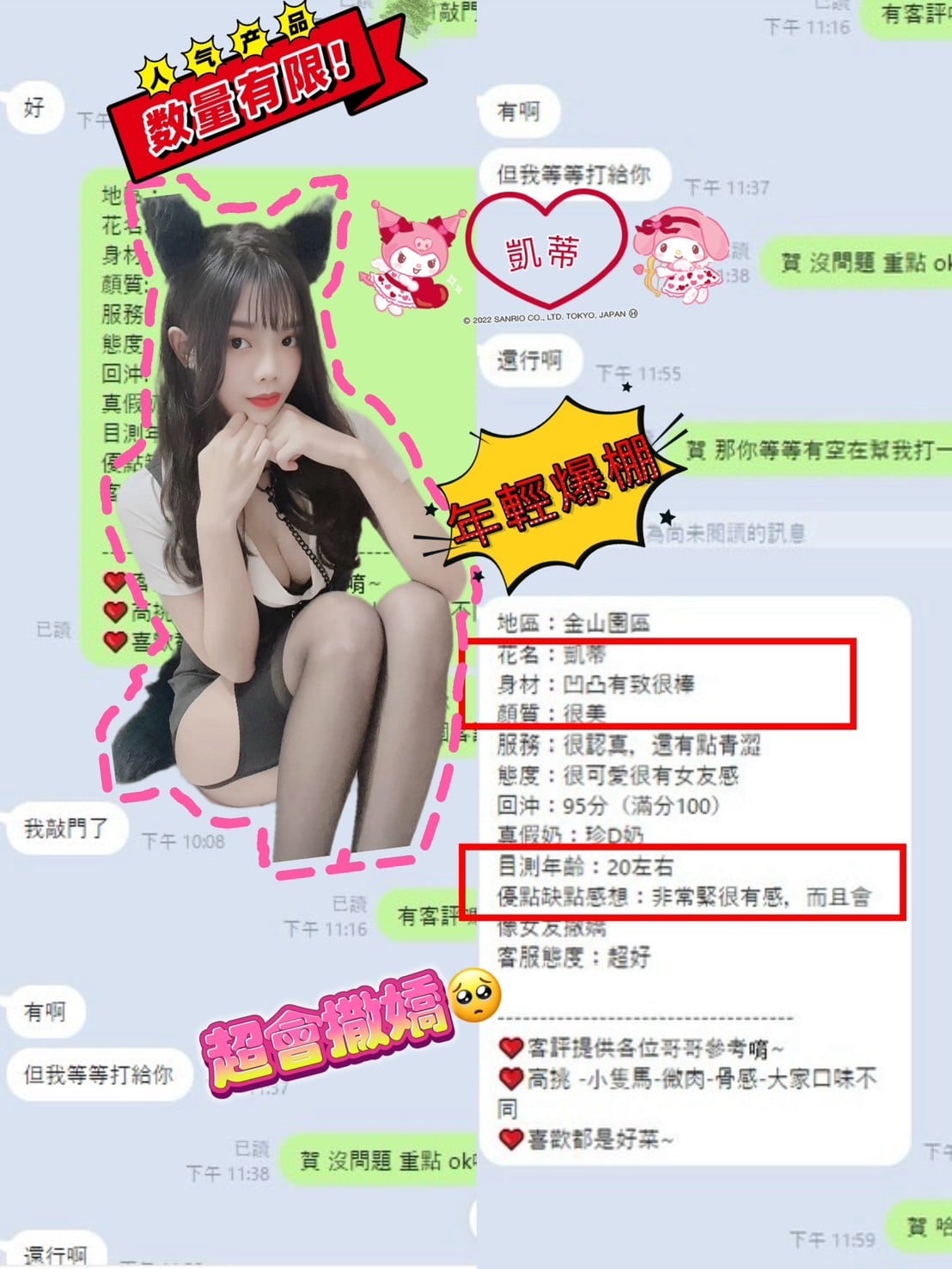 越南新竹凱蒂定點圖片