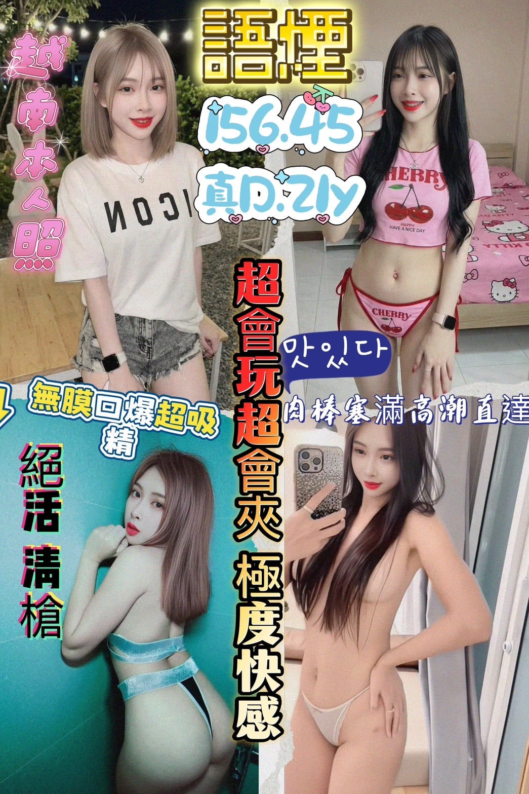 越南新竹小白鹿定點圖片