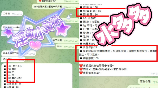 越南新竹蜜桃定點圖片