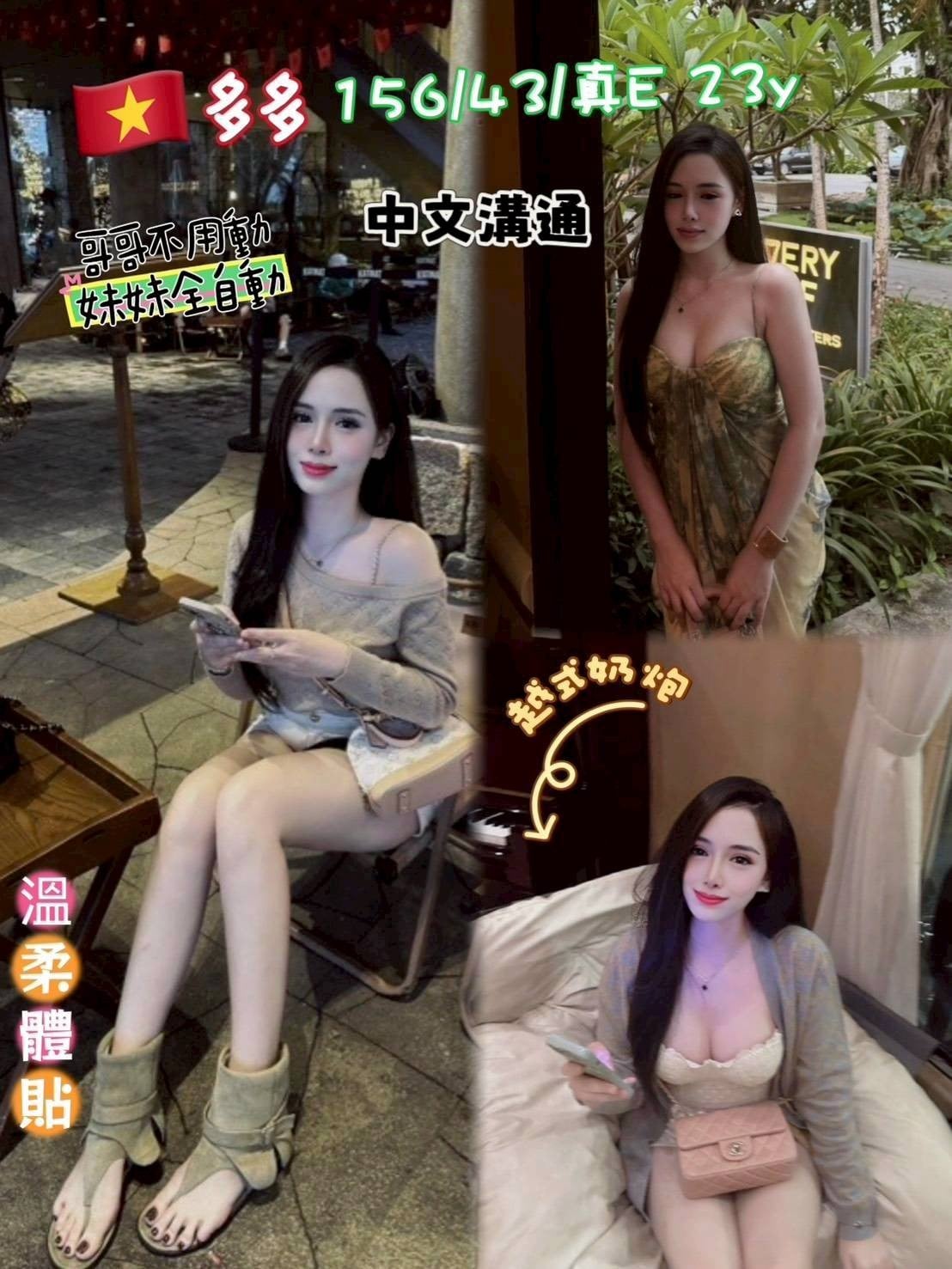越南桃園多多定點圖片