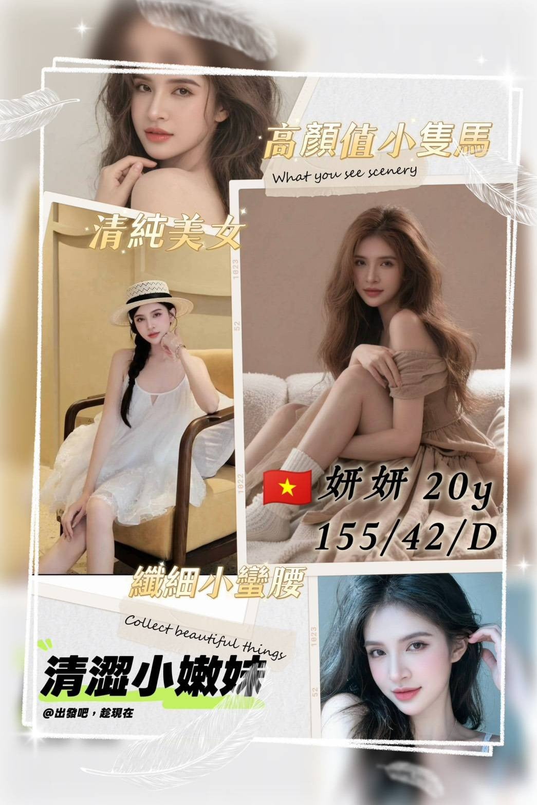 越南桃園妍妍定點圖片