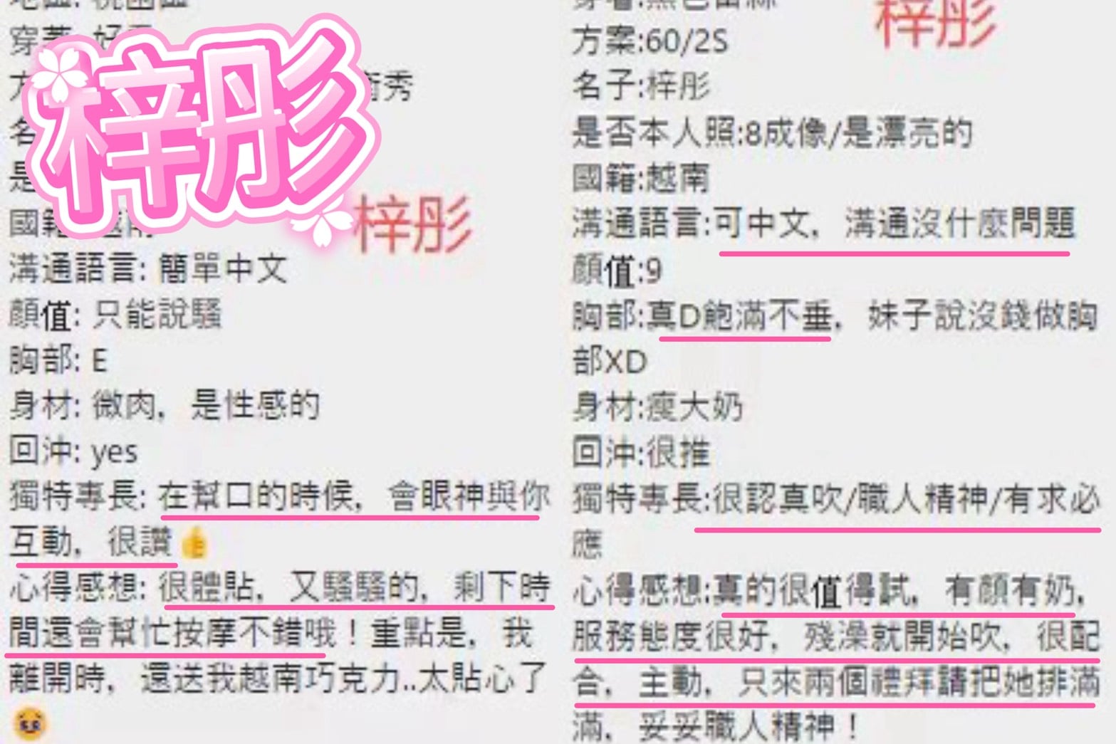 越南桃園梓彤定點圖片