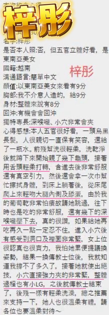 越南桃園梓彤定點圖片