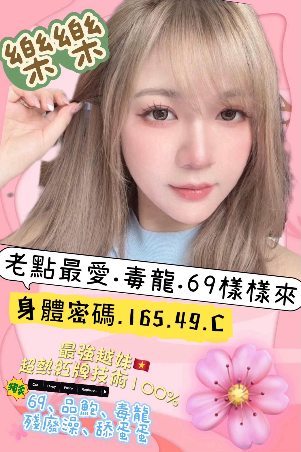 越南高雄樂樂定點圖片