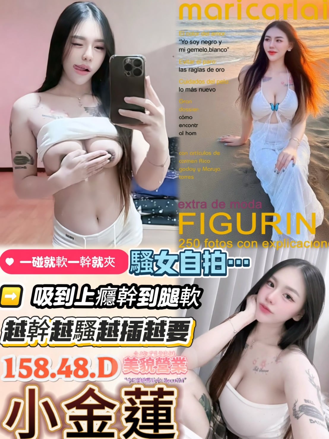 馬來西亞台中小金蓮定點圖片
