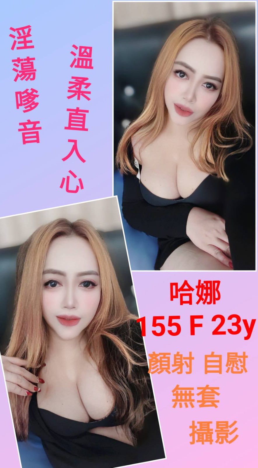馬來西亞台北哈娜定點圖片